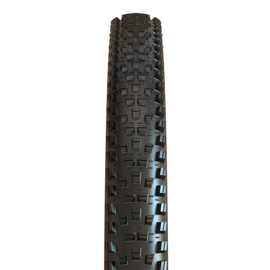 Maxxis, Forekaster, Mountain Tire, 29''x2.60, Folding, Tubeless Ready, MaxxTerra, EXO, Black