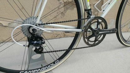 Pinarello Treviso