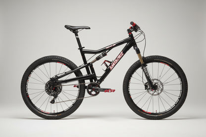 Santa Cruz Heckler