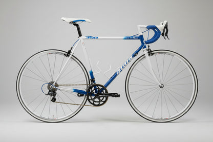 Atala Luna