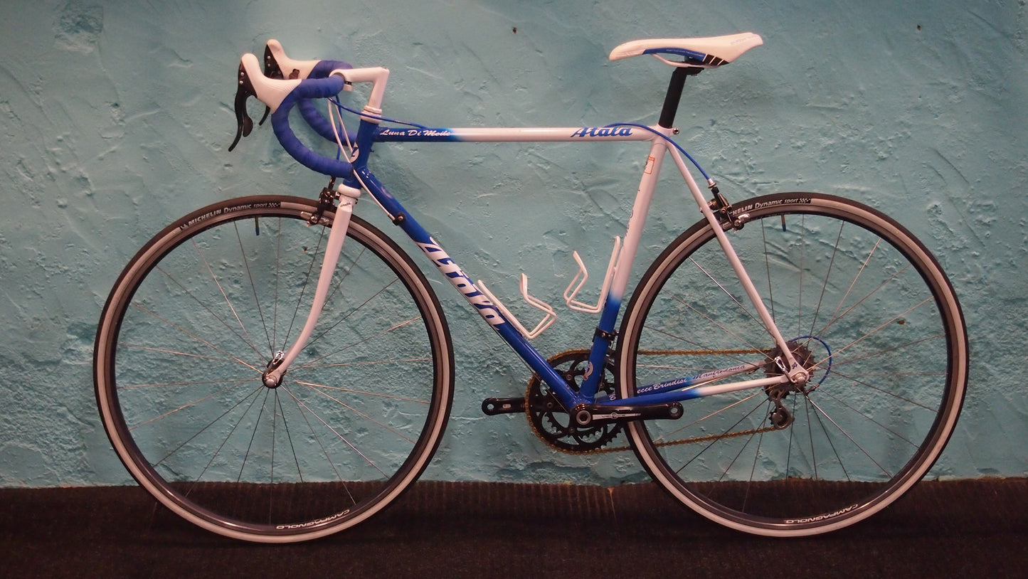 Atala Luna