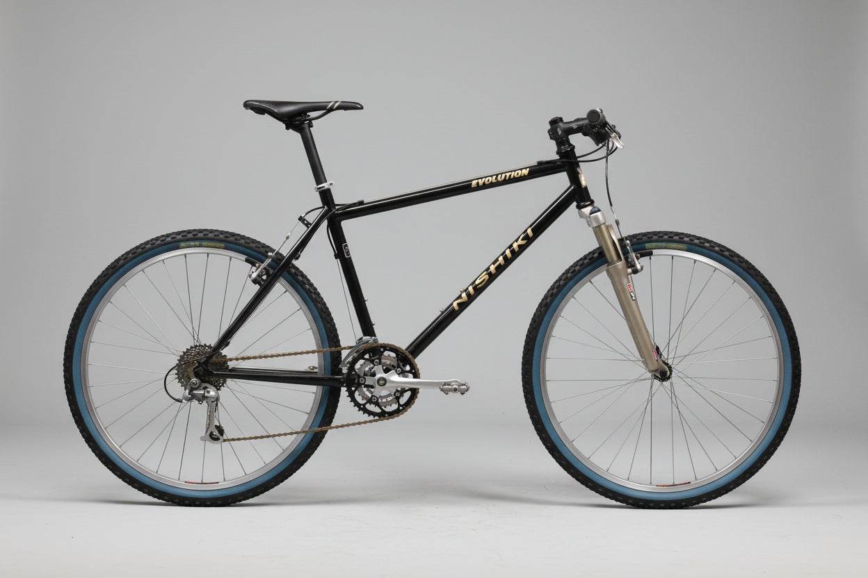 Nishiki Evolution