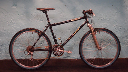 Nishiki Evolution