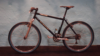 Nishiki Evolution