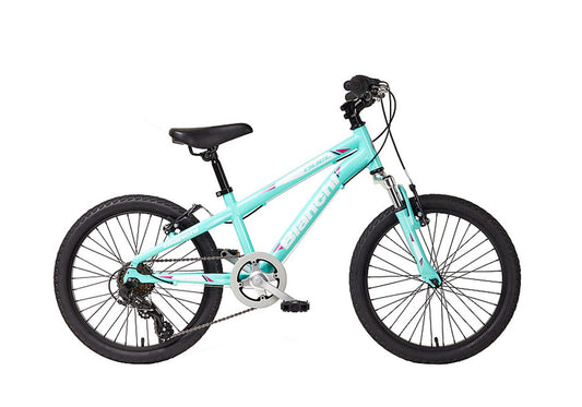 Bianchi Jr Duel 20" CK16
