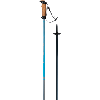 Elan Speed Rod CORK Ski Pole