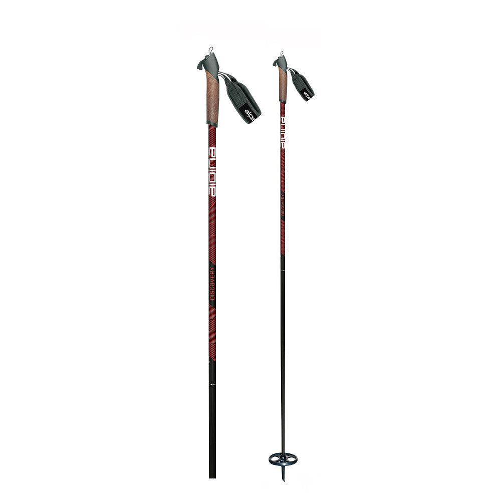 Alpina Discovery Touring Pole